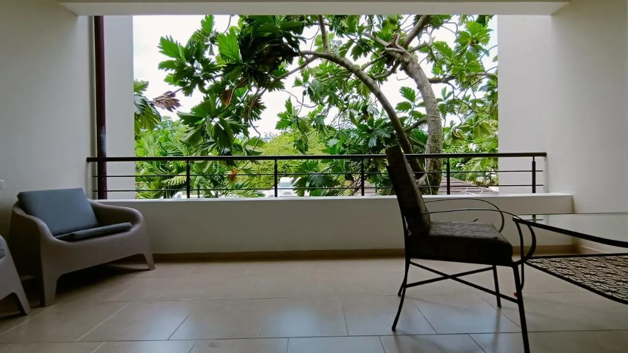 Comfortable Apartment In Caribbean Paradise Sosúa 0*,